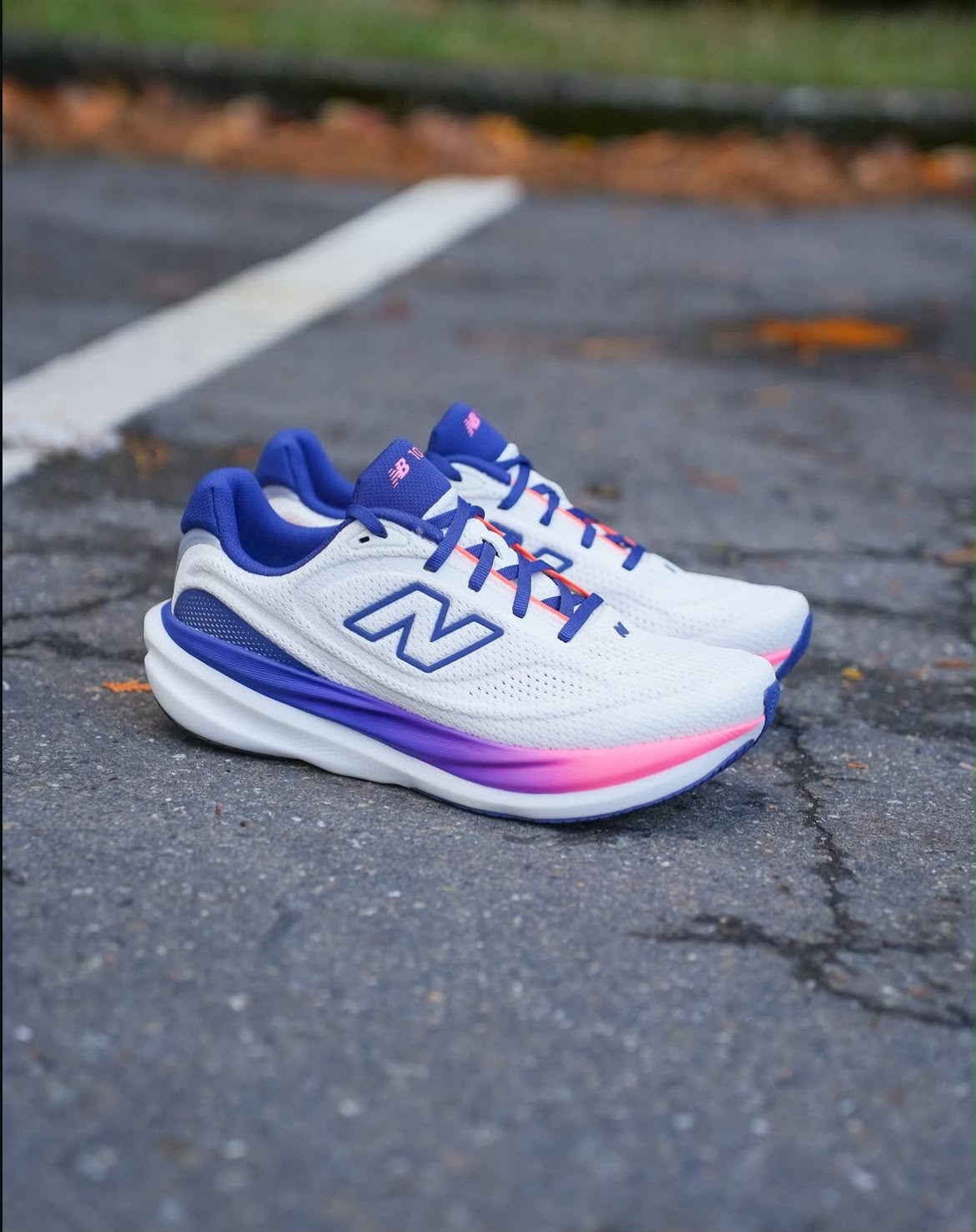 NEW BALANCE 1080 v15 MULTI