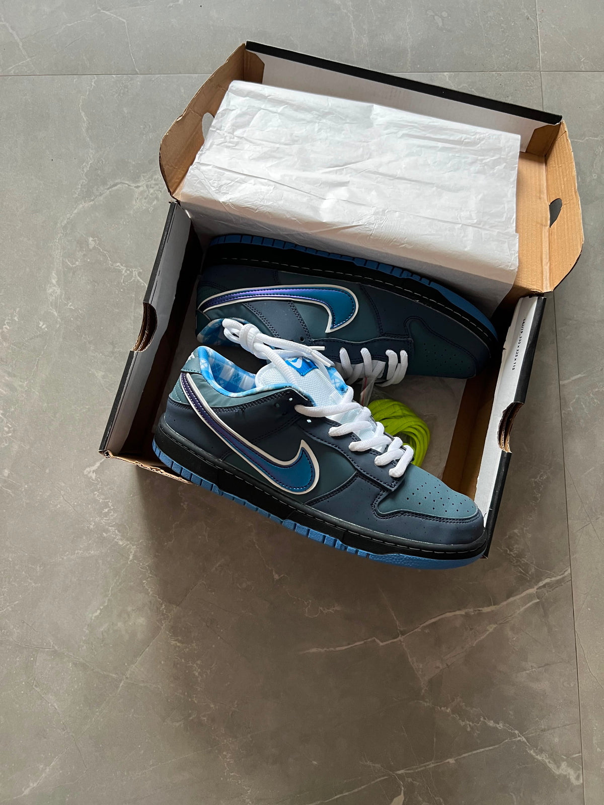 NIKE SB DUNK LOBSTER