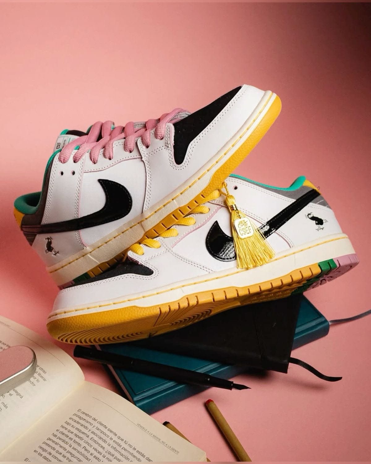 NIKE SB DUNK CSEF SKATEBOARD