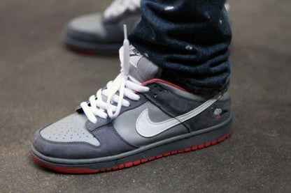 NIKE SB DUNK NYC PIGEON GREY