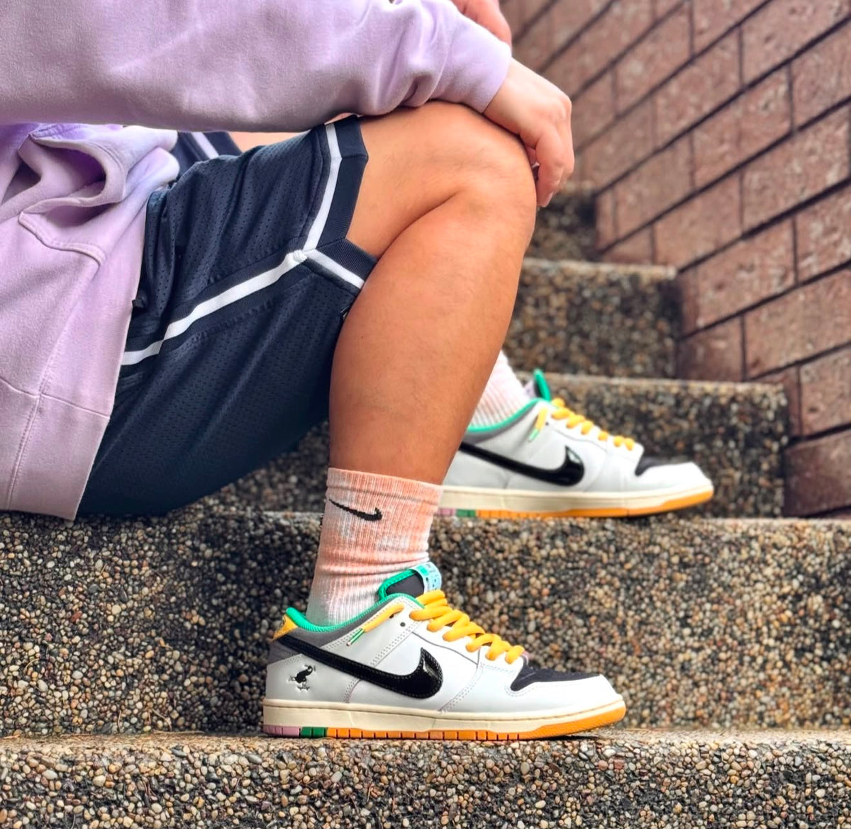 NIKE SB DUNK LOW PRO X CSEF WHITE AND BLACK
